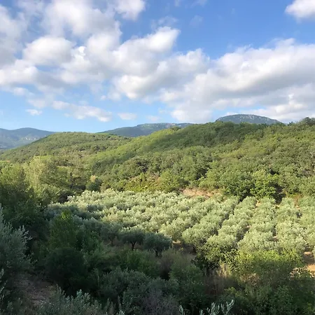 Avec Terrasse Vue Larzac 아파트